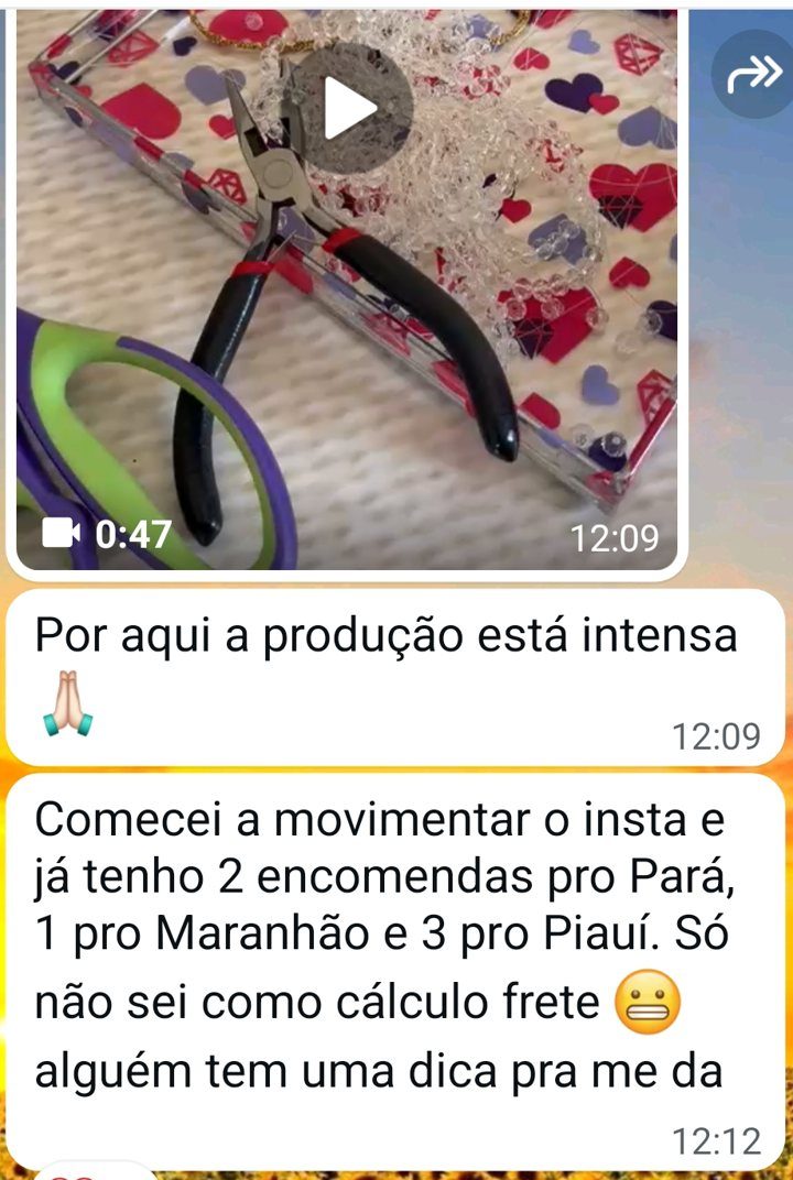 Mensagem da Soraya sobre encomendas para três estados